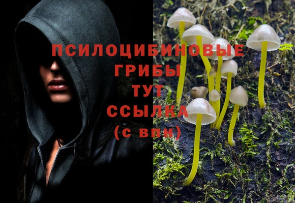 MDMA Premium VHQ Белоозёрский